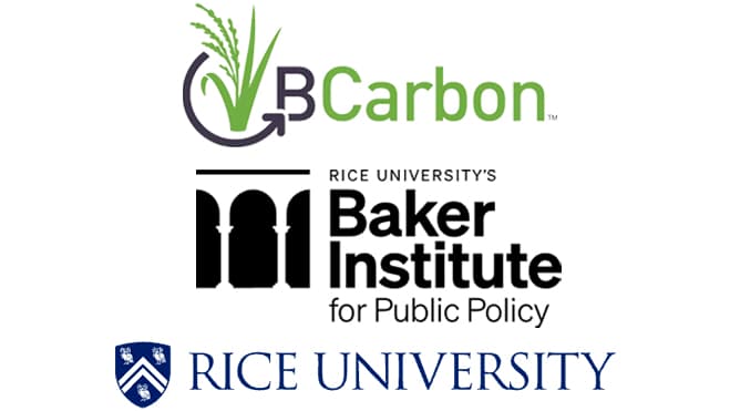 bcarbon logo graphic